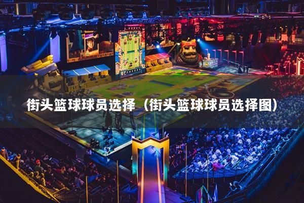 街头篮球球员选择（街头篮球球员选择图）