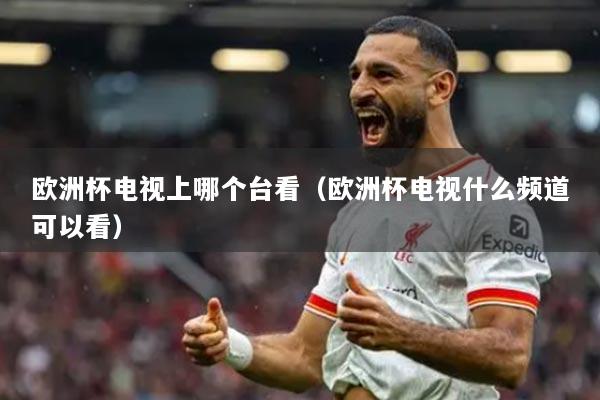 欧洲杯电视上哪个台看(欧洲杯电视什么频道可以看)