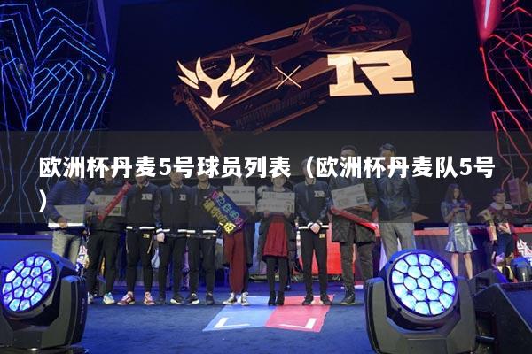 欧洲杯丹麦5号球员列表（欧洲杯丹麦队5号）