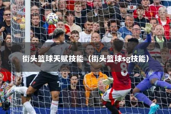 街头篮球天赋技能（街头篮球sg技能）