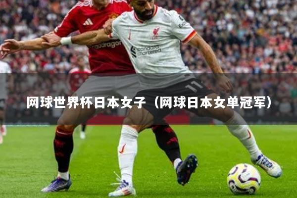 网球世界杯日本女子（网球日本女单冠军）