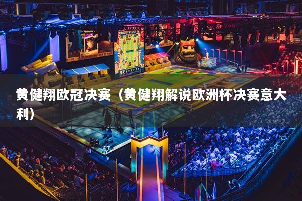 黄健翔欧冠决赛（黄健翔解说欧洲杯决赛意大利）