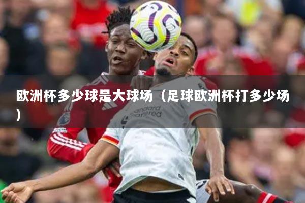 欧洲杯多少球是大球场（足球欧洲杯打多少场）