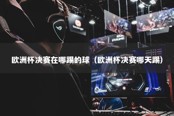 欧洲杯决赛在哪踢的球(欧洲杯决赛哪天踢)