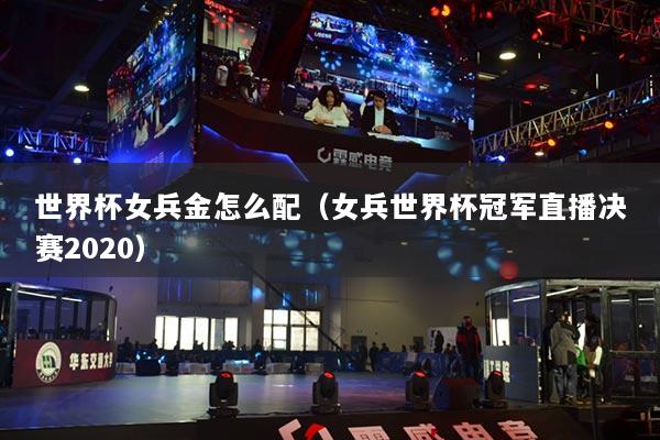 世界杯女兵金怎么配(女兵世界杯冠军直播决赛2020)