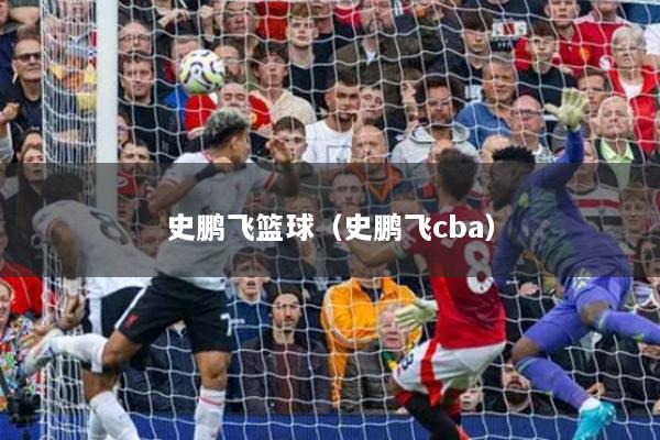 史鹏飞篮球（史鹏飞cba）