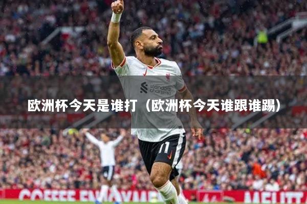 欧洲杯今天是谁打(欧洲杯今天谁跟谁踢)