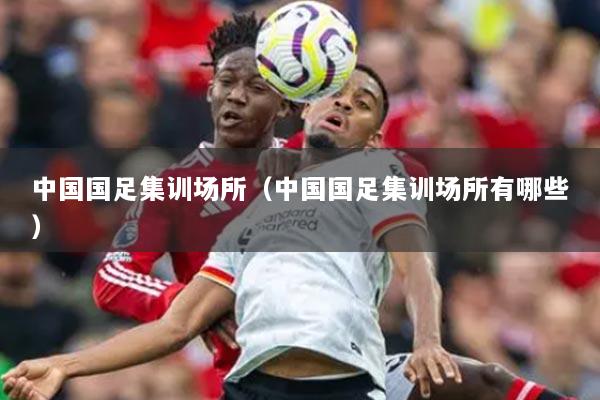 中国国足集训场所（中国国足集训场所有哪些）