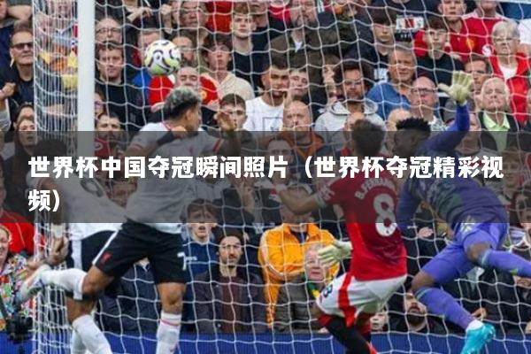 世界杯中国夺冠瞬间照片（世界杯夺冠精彩视频）