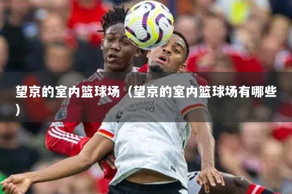 望京的室内篮球场（望京的室内篮球场有哪些）