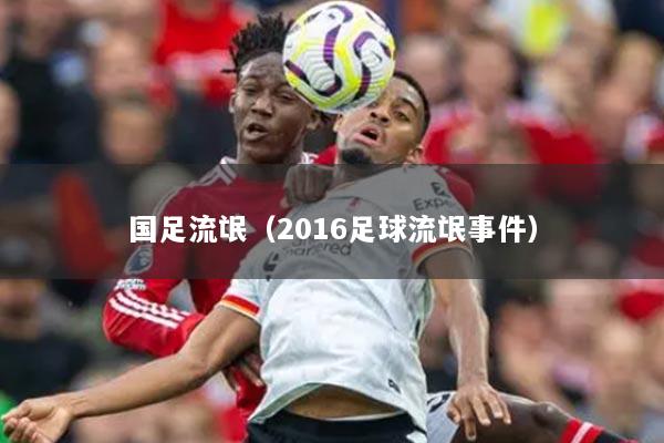国足流氓（2016足球流氓事件）
