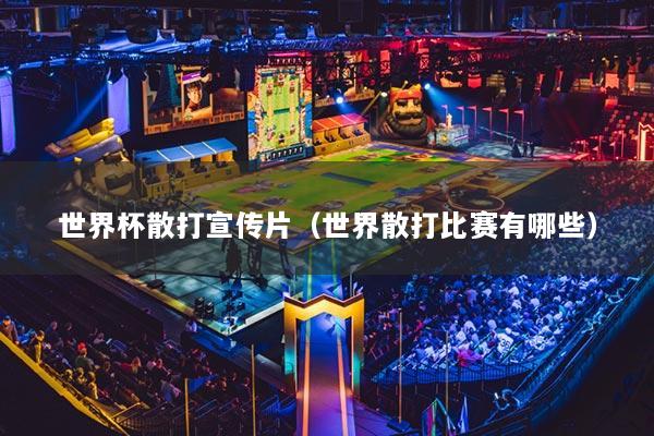 世界杯散打宣传片（世界散打比赛有哪些）