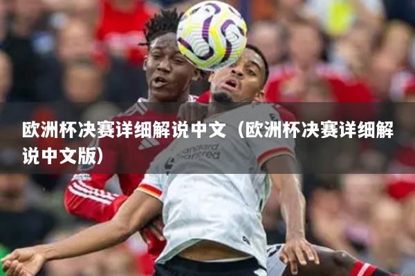 欧洲杯决赛详细解说中文（欧洲杯决赛详细解说中文版）