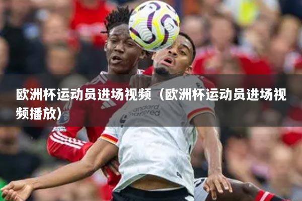 欧洲杯运动员进场视频（欧洲杯运动员进场视频播放）