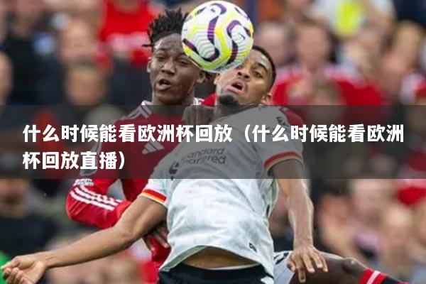 什么时候能看欧洲杯回放（什么时候能看欧洲杯回放直播）