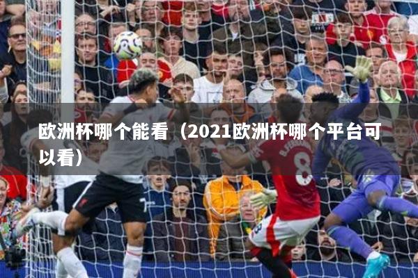 欧洲杯哪个能看（2021欧洲杯哪个平台可以看）