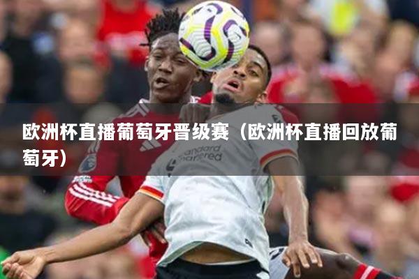 欧洲杯直播葡萄牙晋级赛（欧洲杯直播回放葡萄牙）